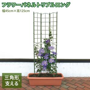 フラワーパネルトリプルロング 支柱 園芸 支柱 園芸 おしゃれ 支柱 園芸 長さ 花 支柱 花 支柱 おしゃれ トレリス フェンス ガーデンの画像1