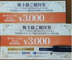 【コード通知】ビジョン株主優待券 6,000円分(3,000円券×2枚 株主様ご優待券) 2024年8月31日まで ナビでコードを通知