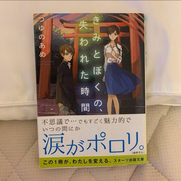 きみとぼくの、失われた時間