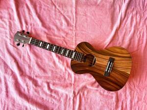  all single record tenor ukulele ( unused goods )Bruce Wei