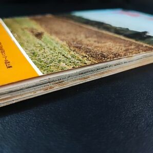 【鉄道ファン・1972年 11月号】第17回鉄道写真コンクール誌上展/'72鹿児島SLフェスティバル/青井岳のC57/白糠国分浦上の3線が開通/の画像7