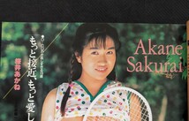 1991年8月 オトメクラブ 白夜書房 AB判 平成3年 森田美恵 桜井あかね 森村麗子 吉沢あかね 南奈美_画像10