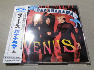 CDV/バナナラマ/ヴィーナス(1987 JAPAN/LONDON:W18X 23001 CD VIDEO NM GOLD DISC with Obi/BANANARAMA,VENUS