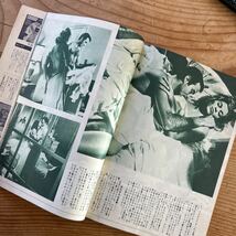 3 昭和レトロ　エロ本　ビニ本　エロトコミック　写真集　昭和　昭和雑誌　雑誌_画像5