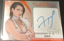 【60枚限定！！】BBM 2023 Ambitious!! 女子プロレス　志田光 レギュラー＆直筆サインカード2枚セット_画像3