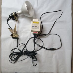 日焼けマシーン 日焼けサロン 日サロ UVランプ サンランプ 海外製 タンニング 夏 美容家電 紫外線 訳あり