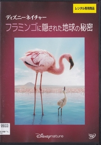 [DVD] Disney nature фламинго .. осуществлен земля. секрет * в аренду версия 