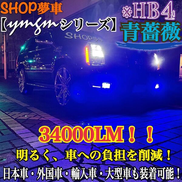 新発売!34000LM!フォグランプ LED 青薔薇 外車も対応 ブルー HB4