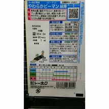 ３袋セット やわらか ピーマン 緑輝 種 郵便は送料無料_画像2