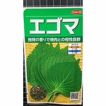 ３袋セット エゴマ シソ の仲間 焼肉に えごま 種 郵便は送料無料_画像1