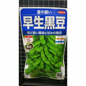 ３袋セット 早生 黒豆 夏の装い エダマメ 枝豆 種 郵便は送料無料