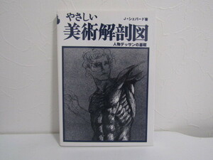 SU-17829 やさしい美術解剖図 人物デッサンの基礎 J・シェパード マール社 本