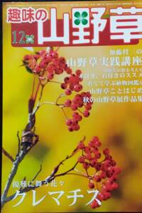 趣味の山野草 2006年 12月号