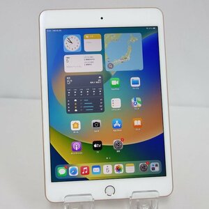 *60日保証* iPad mini 第5世代 64GB SIMフリー Cellular au 利用制限2年保証 インボイス可 送料無料 【本0203-210-0205本】清P