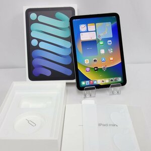 60日保証 iPad mini 第6世代 256GB グレー Cellular SIMフリー Apple購入 バッテリー88% インボイス可 送料無料 【東0223-590-0227東】清T