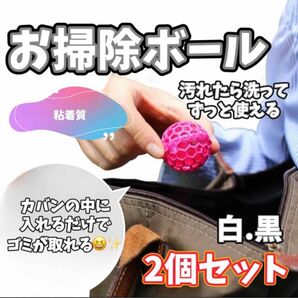 【入れるだけ】お掃除 ボール 簡単キレイに！ゴミを吸着 洗えば何回も使えるエコ