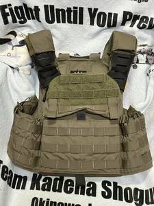 米軍 Shellback Tactical Banshee Elite 2.0 Plate Carrier 中古 RG 海兵隊 Crye FERRO CONCEPTS Patagonia M4 Hk416 MP5 P320 M1911 G19