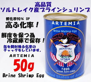  高品質 　GSL産 ブラインシュリンプ エッグ ユタ州 ソルトレイク産 50g 　ふ化率90％ UP ブラインシュリンプ