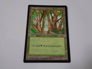 MTG Forest 森 APAC ◆ Land ランド ◆ 数量入力可