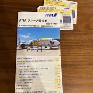 ANA株主優待 ANAグループ 搭乗優待券2枚 グループ優待券18枚 施設利用券 カントリークラブ ゴルフプレー優待券 航空券 乗車券