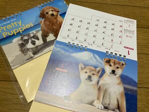 2024年 卓上カレンダー かわいい 子いぬ カレンダー 犬 子犬 動物 Pretty Puppies 月間ブロック 前後月表示 プリティパピー