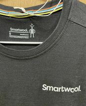 スマートウール ドーン ライズ スポーツ 新品　S SmartWool Dawn Rise Sport Tシャツ_画像4