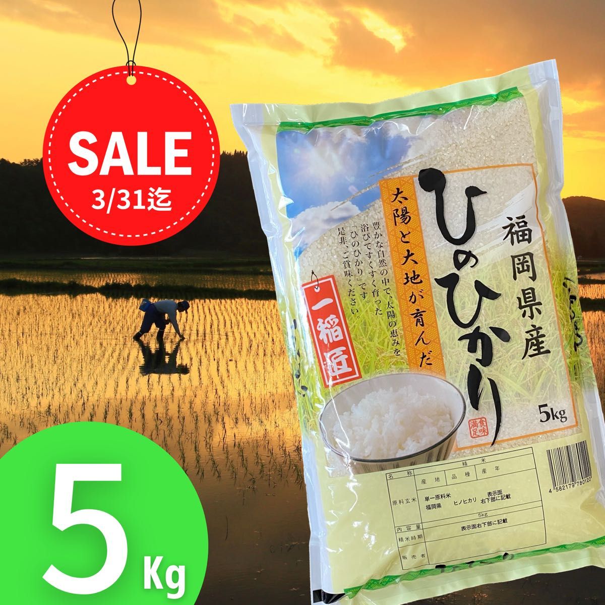 セール中》ヒノヒカリ5kg 令和5年 福岡県産 白米 美味しい お米 安い