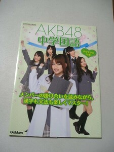 ☆ＡＫＢ４８中学国語　中学全学年対象☆