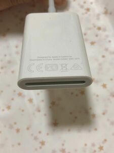 Apple USB-C - SDカードリーダー ホワイト