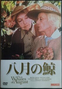 DVD Ｒ落／八月の鯨／リンゼイ・アンダーソン　リリアン・ギッシュ　ベティ・デイヴィス