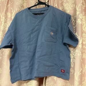 Dickies ショート丈Tシャツ