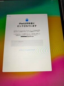 iPad Pro 12.9インチ 第4世代 Cellular128GB シルバー 【ジャンク品】