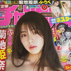 新品未開封 週刊少年チャンピオン 2023年 16号 no.16 菊地姫奈 両面ビックポスター 巻頭グラビア