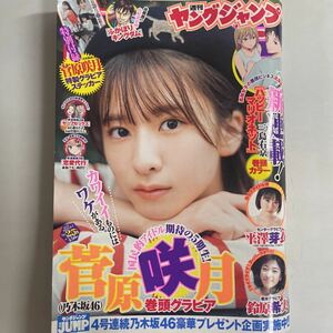 週刊 ヤングジャンプ 2023年6月1日 25号 no.25 菅原咲月 巻頭グラビア 付録付き 平澤芽衣 鈴原希実