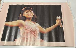 南野陽子 YOKO　MINAMINO　SUMMER　CONCERT　88　SONY販促　A1ポスター送料無料