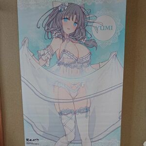 閃乱カグラ 雪泉 かきおろしタペストリー