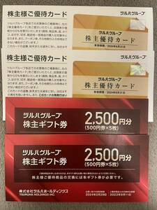 ツルハホールディングス 株主優待 株主優待カード ギフト券 2セット 5000円分