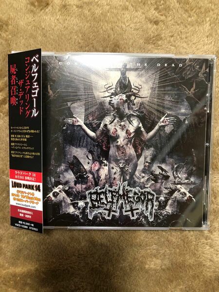 [国内盤CD] ベルフェゴール/コンジュアリングザデッド〜屍者召喚 Berphegor