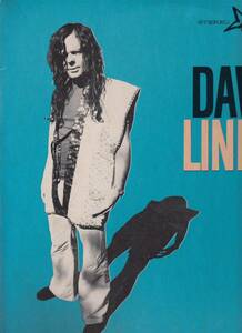 David Lindley/El Rayo-X デヴィッド・リンドレーUSLP美品状態良好　5e-524 asylum