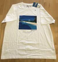 新品 ユニクロ Hiroshi Nagai Tシャツ 白 ホワイト XXLサイズ 永井博 UT UNIQLO シティポップ 大瀧詠一 POOL / DAYLIGHT_画像1