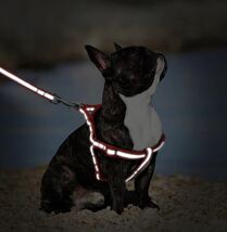 犬 ハーネス リードセット蛍光 反射 おしゃれ Mサイズ 夜 黄色 イエロー 安心 安全 散歩 夕方 かわいい_画像10