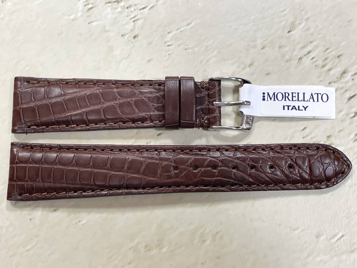 2025年最新】Yahoo!オークション -モレラート アマデウスの中古品