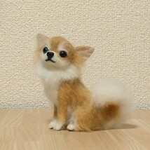 羊毛フェルト ミニチュア 　犬　◇　お座りをした　レッドチワワ　◇ いぬのぬいぐるみ　オリジナル ハンドメイド_画像8