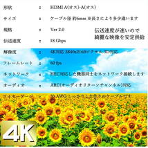 ◇【2本セット】Ver2.0 1m HDMIケーブル 3D映像 ネットワーク 4KフルHD対応 プレミアム高速・高品質 2HDMI-10【送料無料】■□_画像3