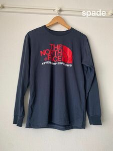 THE North Face ロングTシャツ　　Lサイズ