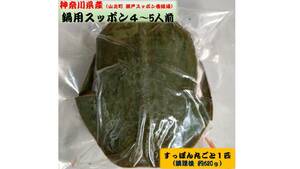  saucepan for softshell turtle circle ..1 pcs 4~5 portion 