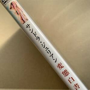 美品★DVD サンドラ・ジュリアン 色情日記 変態白書 ノーカット・ヘア解禁版 洋画 1970年代 70年代 昭和 マックス・ペカス 2本 廃盤 レアの画像8