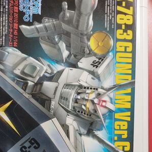 HG RX-78-3 G-3ガンダム Ver.G30th 　ガンダムスーパーエキスポ東京2010限定版 