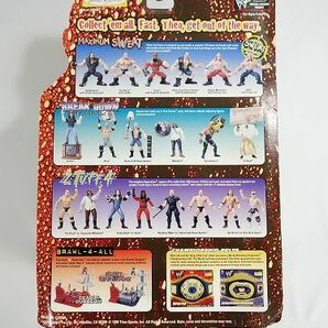 ★格安スタート【未開封/保管品】Goldberg & Hollywood Hogan & Undertaker プロレス フィギュア 3個まとめて 中古現状品★の画像6