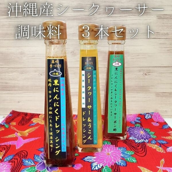 沖縄県産 シークヮーサー 調味料 ドレッシング ポン酢 120ml x 3本 お土産 沖縄